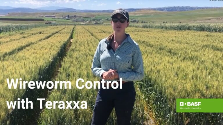 Understanding the Reddy Anna ID: Features, Benefits, and Its Role in the Reddy Book Club Community